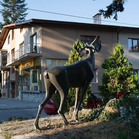 Guest House Elena Welingrad Exterior foto